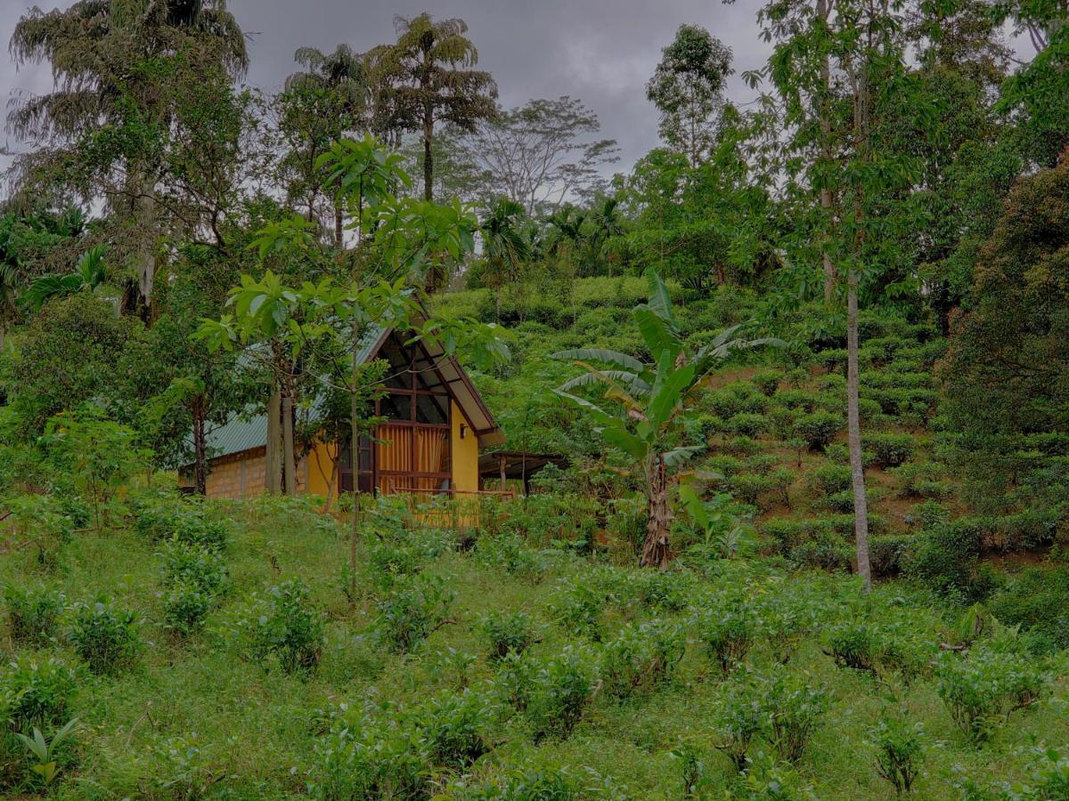 Rainforest Cabin Deniyaya Buitenkant foto