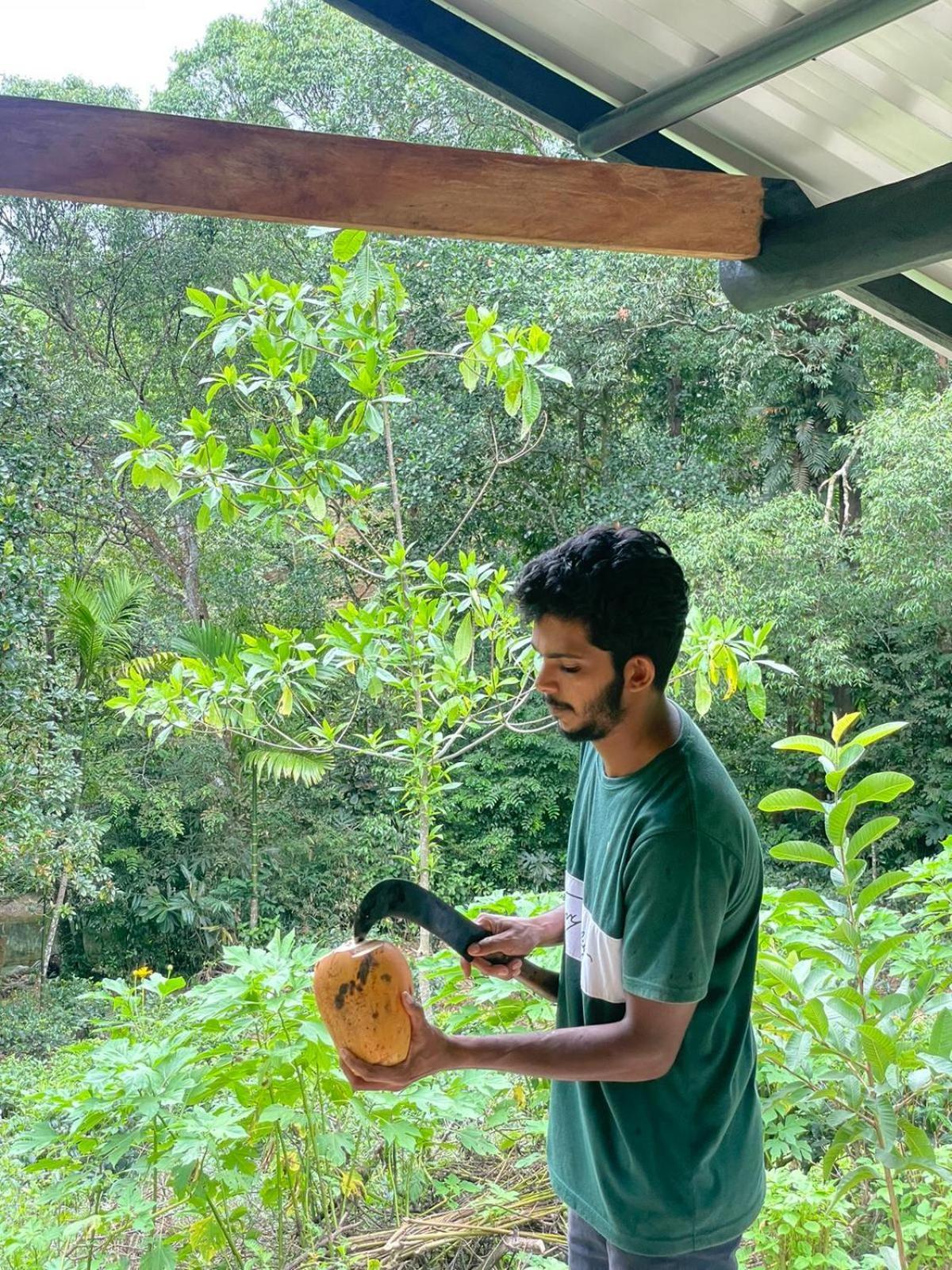 Rainforest Cabin Deniyaya Buitenkant foto