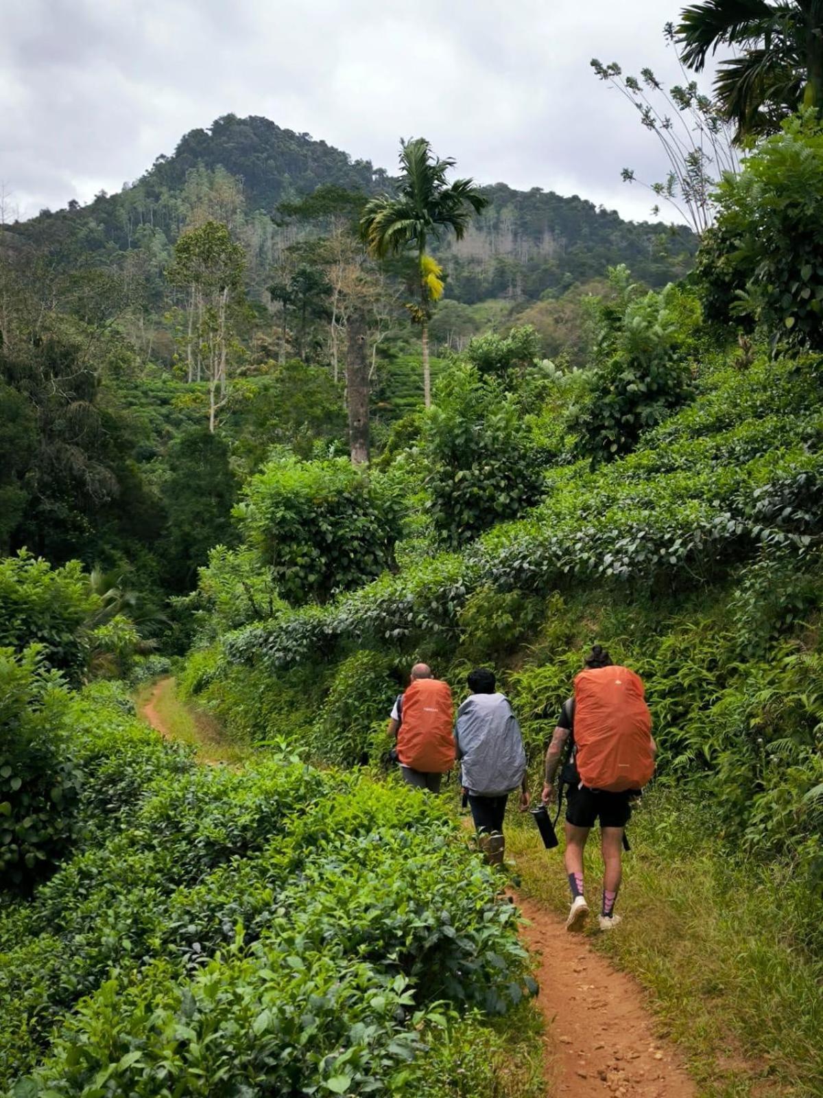 Rainforest Cabin Deniyaya Buitenkant foto