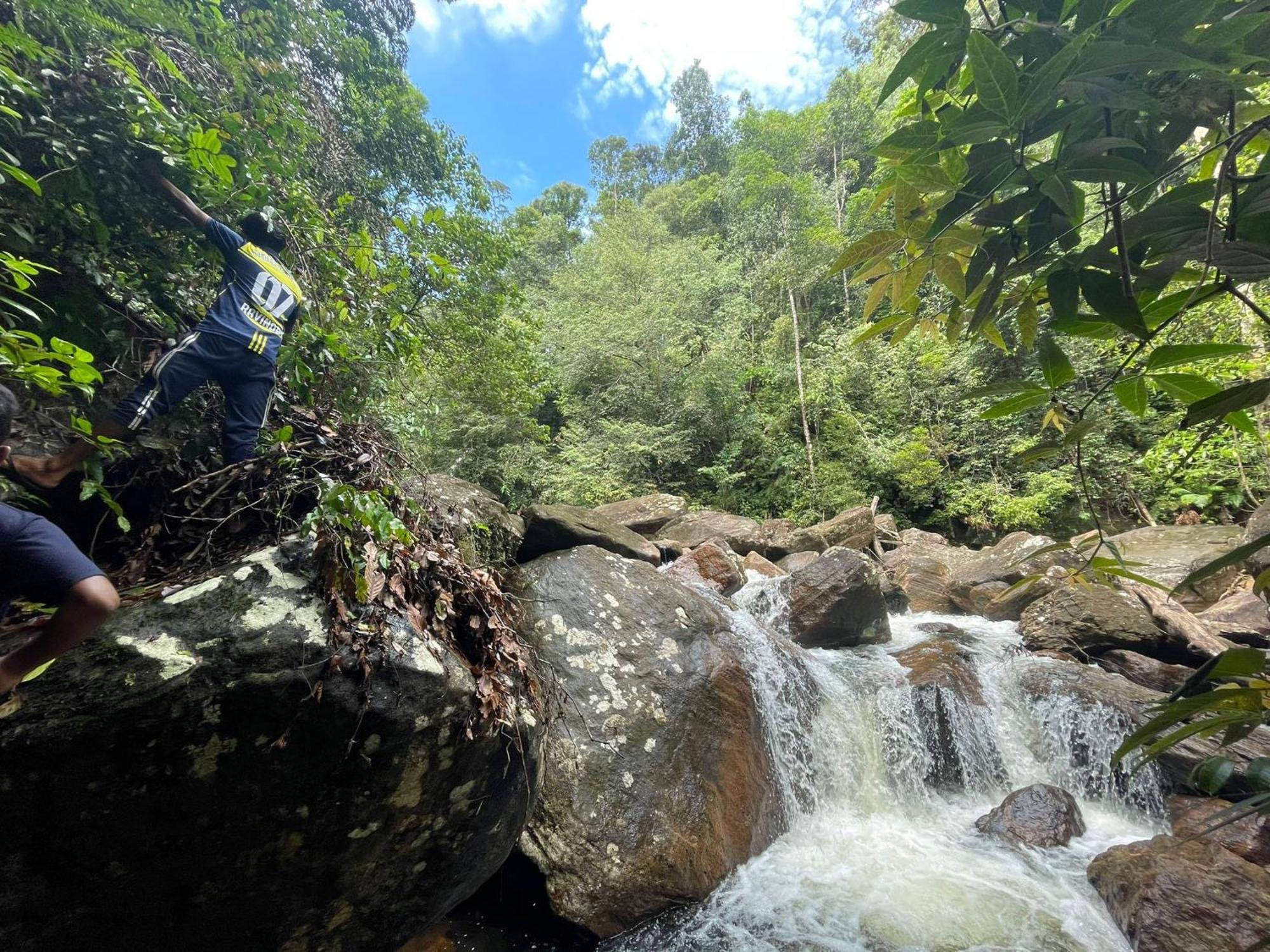 Rainforest Cabin Hotel Deniyaya Buitenkant foto