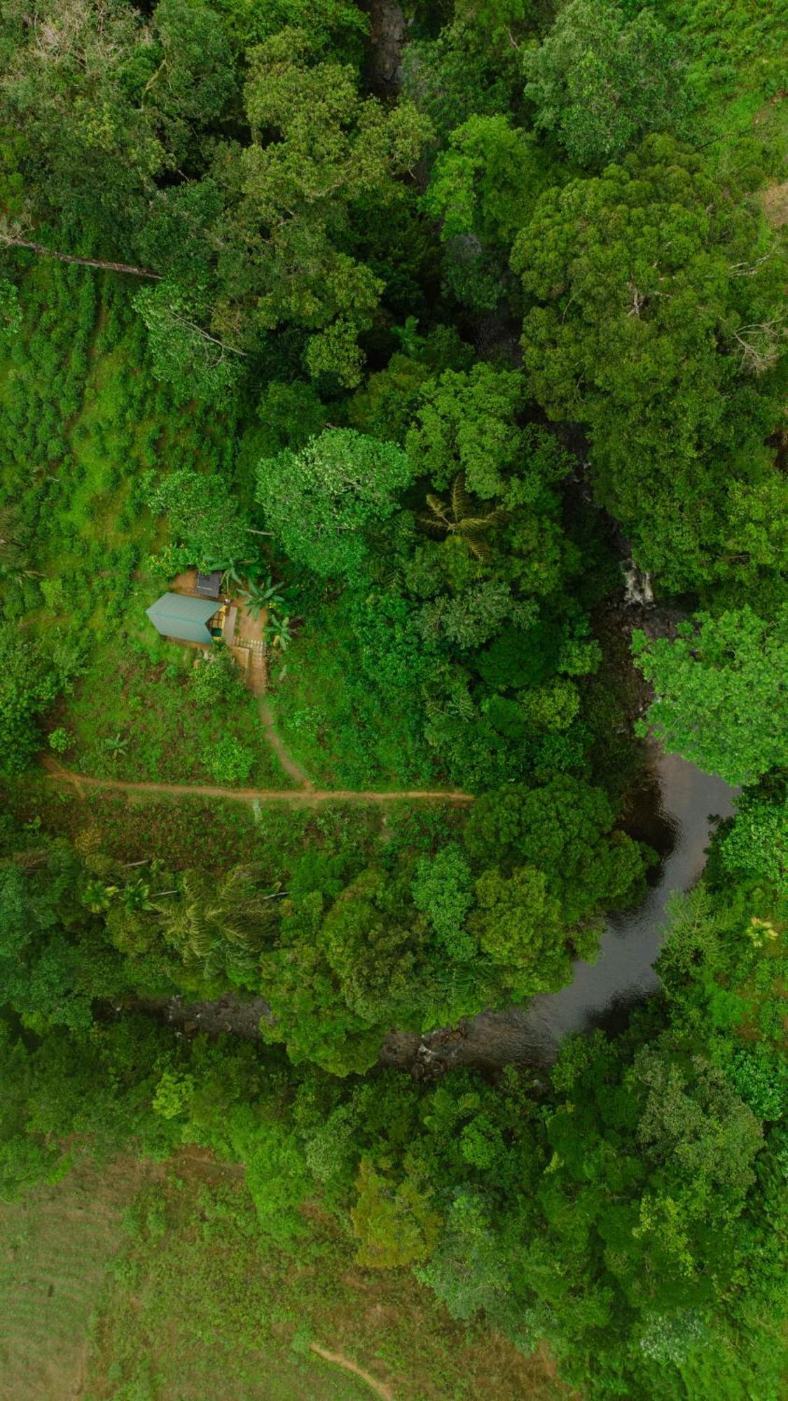Rainforest Cabin Deniyaya Buitenkant foto
