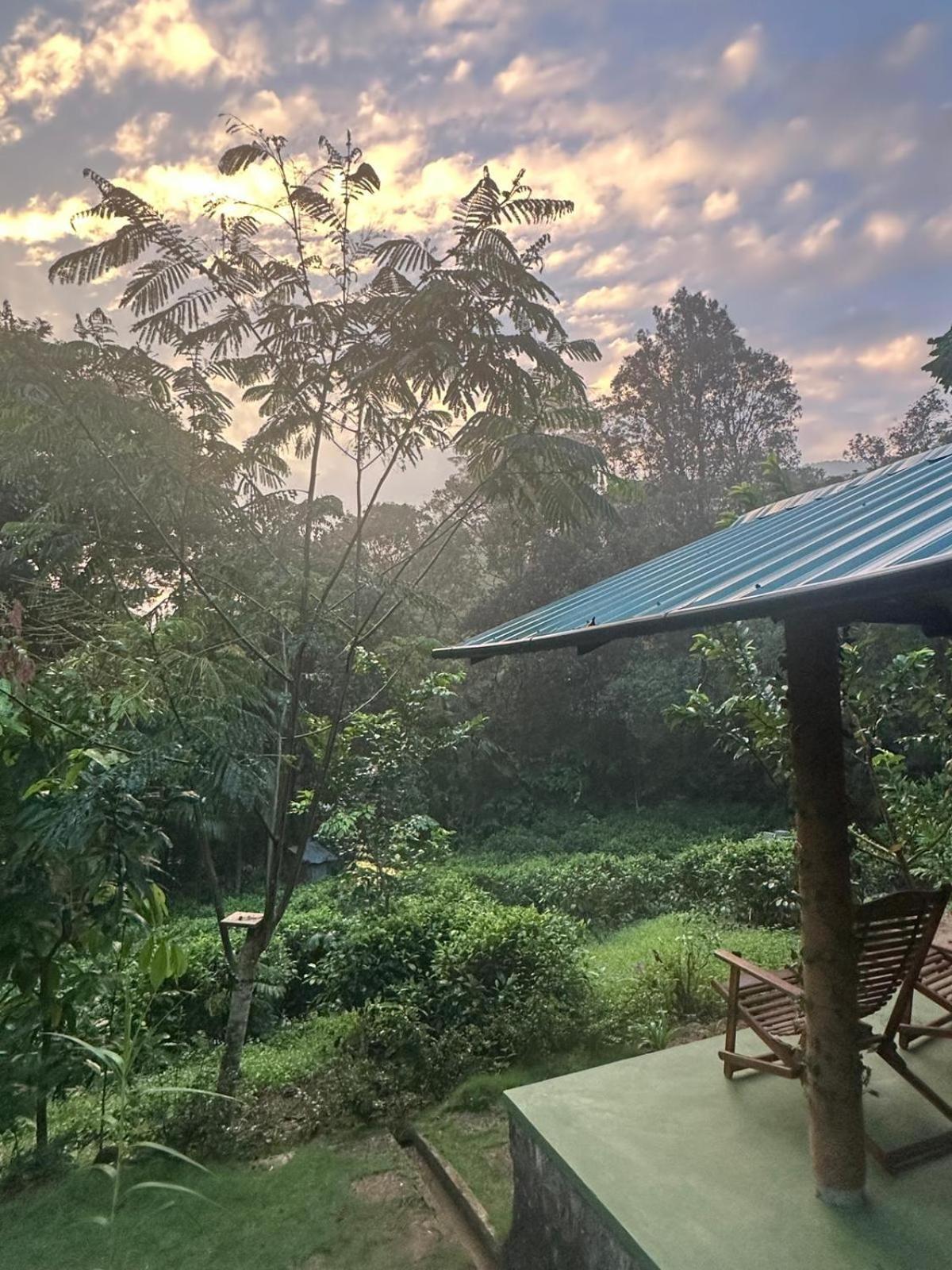 Rainforest Cabin Deniyaya Kamer foto
